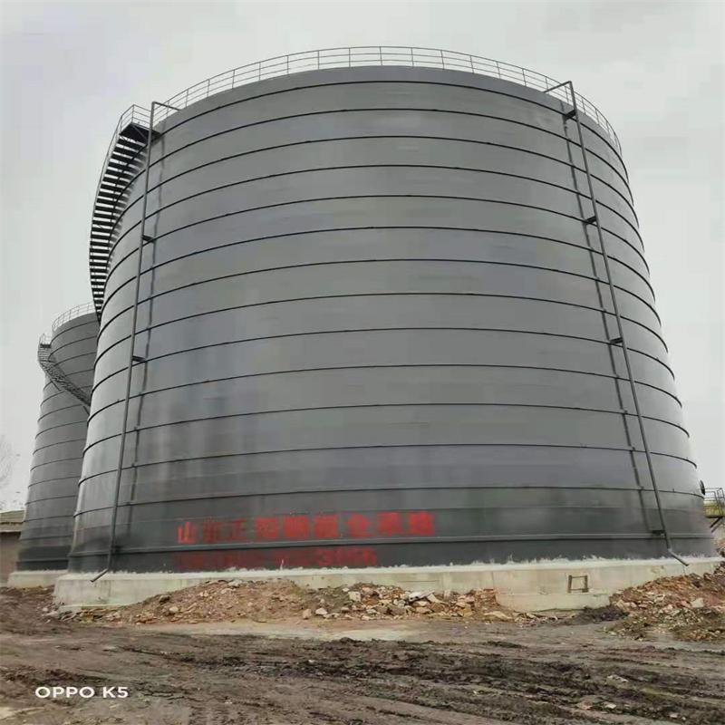 沙田镇3万吨大型钢板库