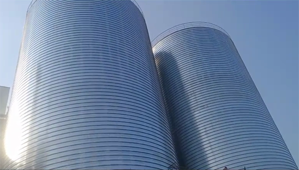 沙田镇2座混凝土高架卷板仓